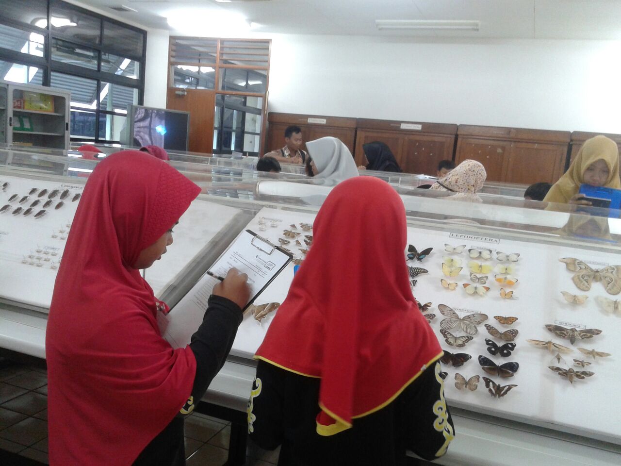 sd3_trip_serangga_ipb01 sd3_trip_serangga_ipb01