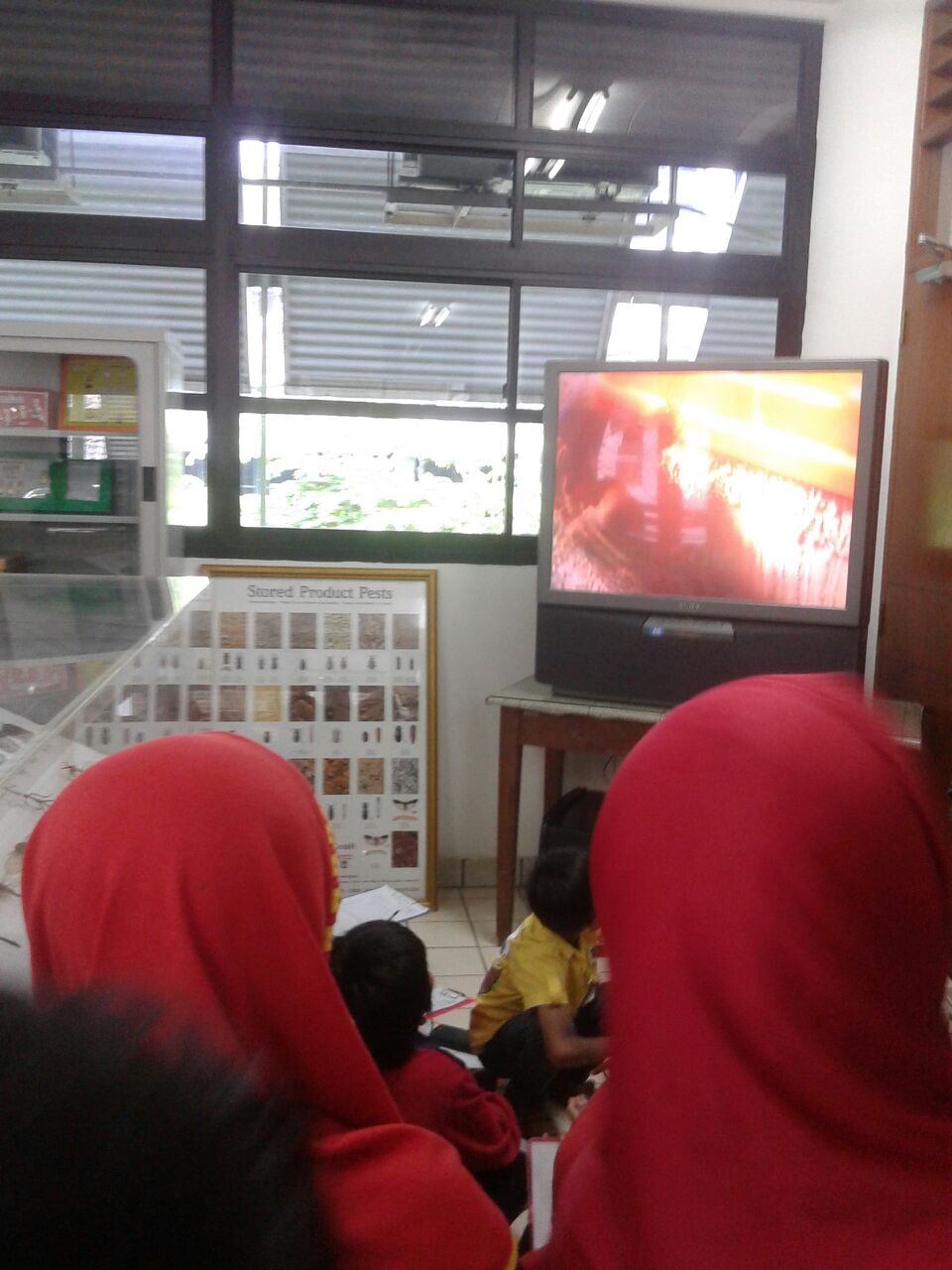 sd3_trip_serangga_ipb11 sd3_trip_serangga_ipb11